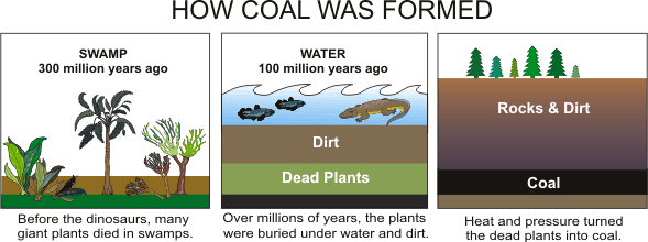 Image showing how coal was formed